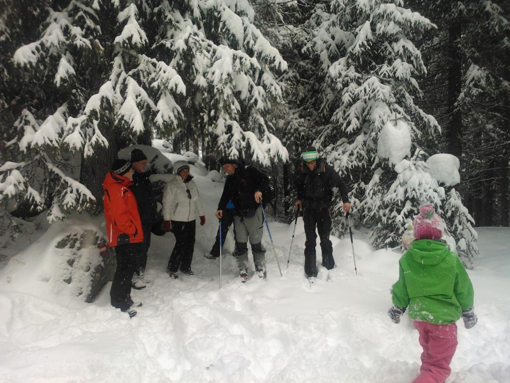 Hanslerfeld Alpbach Εξωτερικό φωτογραφία