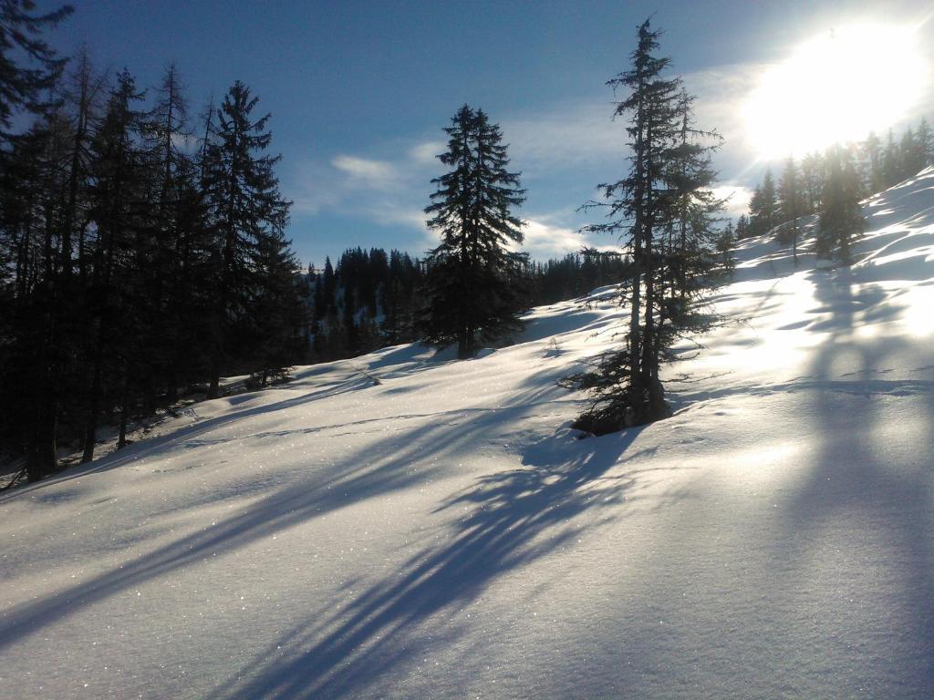 Hanslerfeld Alpbach Εξωτερικό φωτογραφία