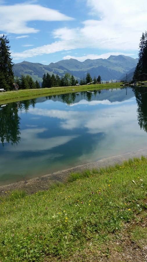 Hanslerfeld Alpbach Εξωτερικό φωτογραφία
