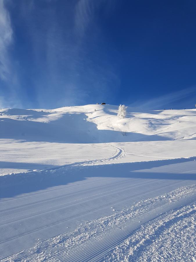 Hanslerfeld Alpbach Εξωτερικό φωτογραφία