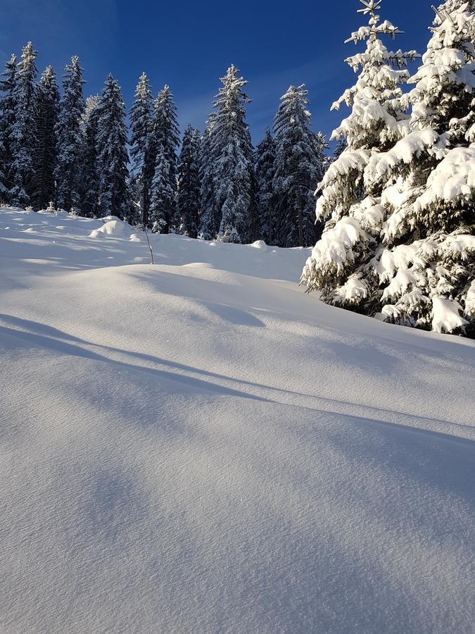 Hanslerfeld Alpbach Εξωτερικό φωτογραφία