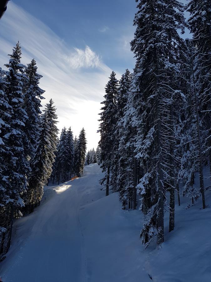 Hanslerfeld Alpbach Εξωτερικό φωτογραφία