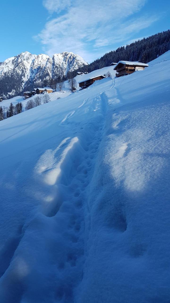 Hanslerfeld Alpbach Εξωτερικό φωτογραφία