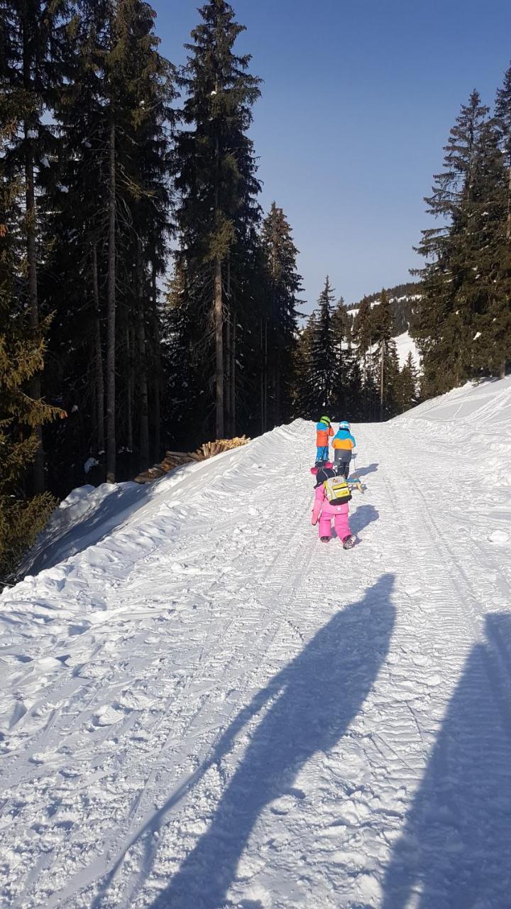 Hanslerfeld Alpbach Εξωτερικό φωτογραφία