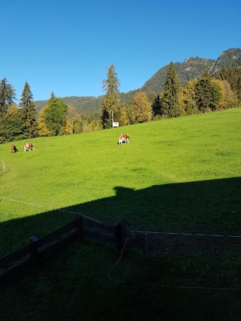 Hanslerfeld Alpbach Εξωτερικό φωτογραφία